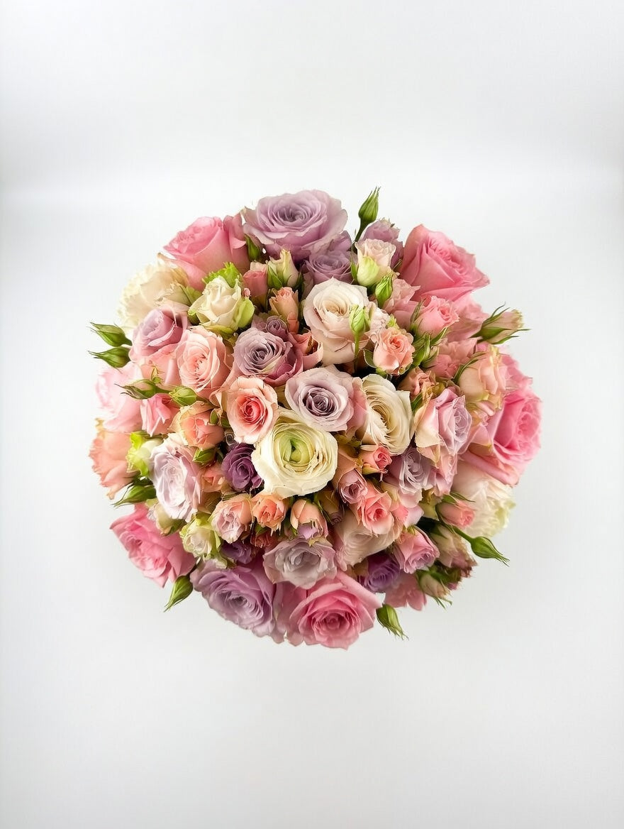 My Colors are Blush and Bashful